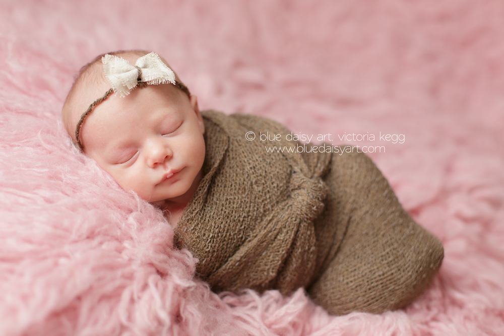 Olivia Chatham Il Newborn Photographer Springfield Il Newborn