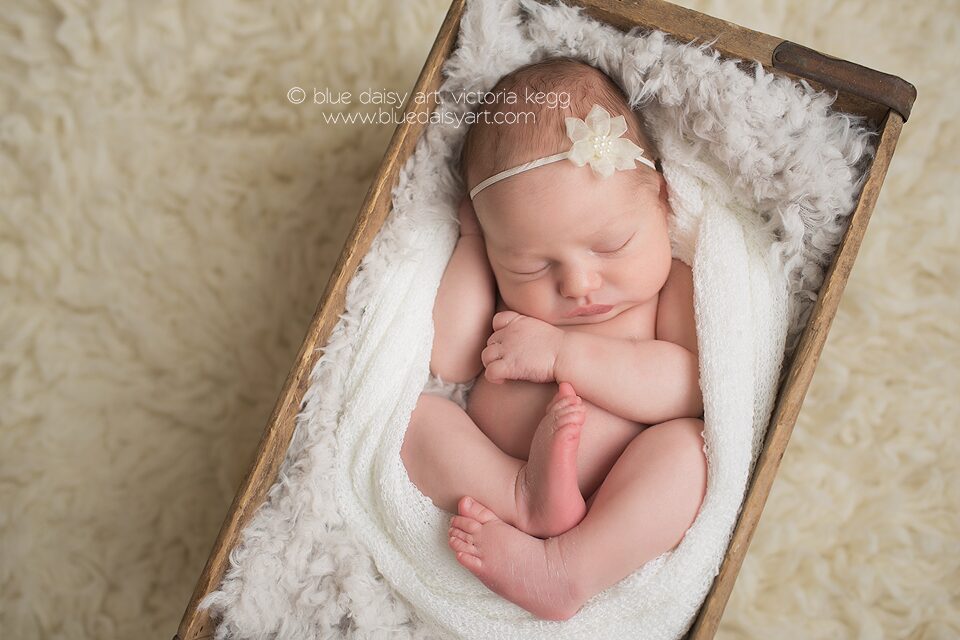 Hadley4