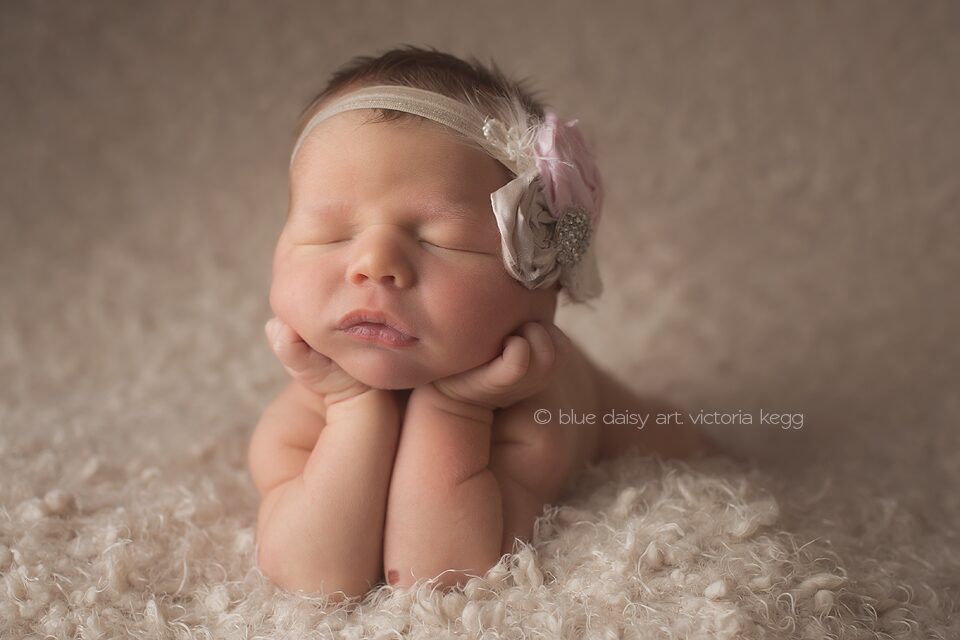 Addison2