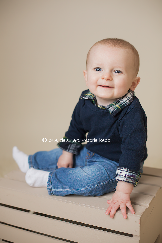 James 8 Months Springfield Chatham Il Baby Photographer Springfield